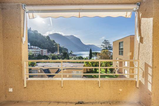 Appartamento  in Affitto a Lugano #5